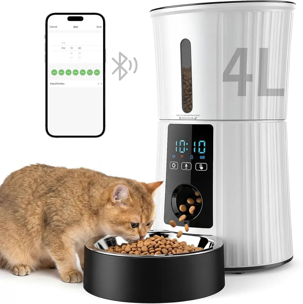 Best Automatic Cat Feeder for One Cat: What to Look For