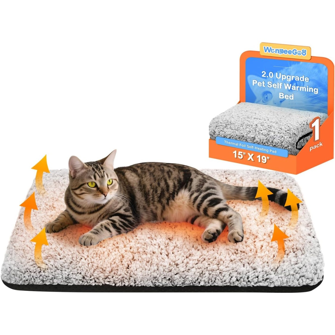 Self-Heating Dog Bed: Do They Actually Work?