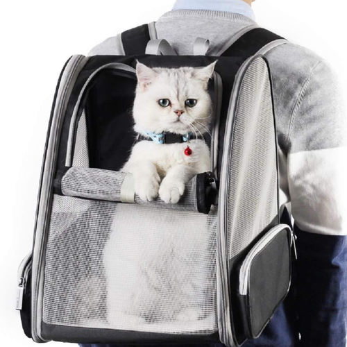 Cloud Bubble carrier ventilation and features