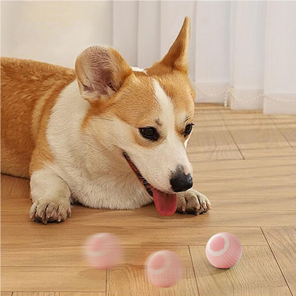Cloud Ball toy features
