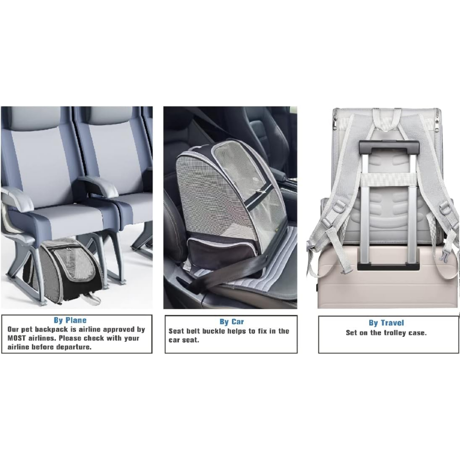 Cloud Bubble carrier interior space