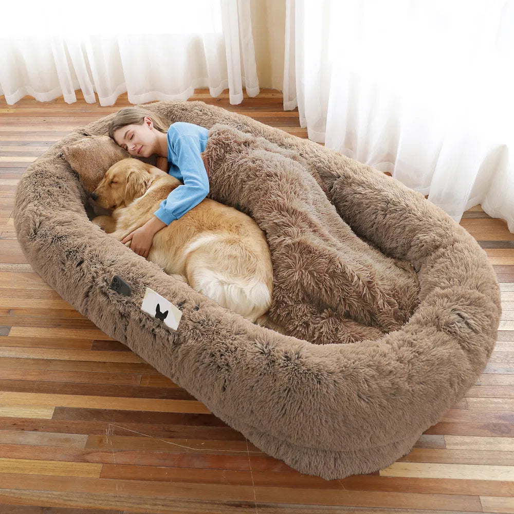 Cloud Nest Khaki