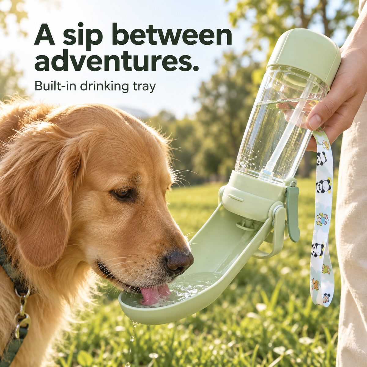 Golden retriever drinking from the Cloud Trek fold-out tray