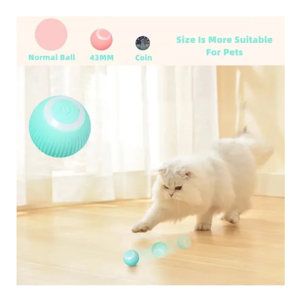 Cloud Ball toy with cat